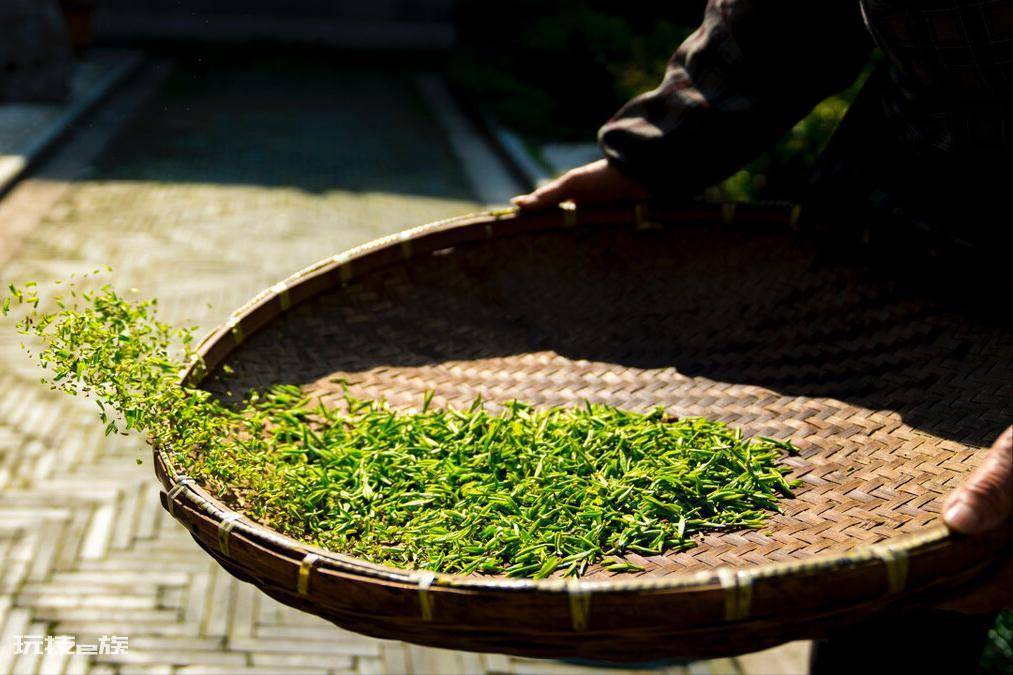 中国茶叶十大排名顺序(茶叶排行榜前10名都是什么茶)-图片3